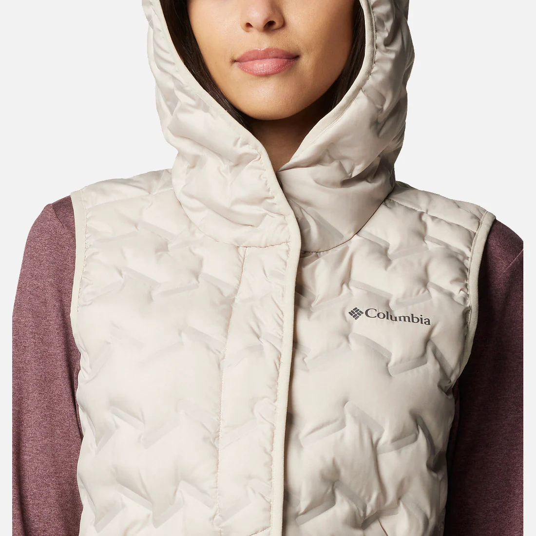 Delta Ridge II Down Hooded Vest - Image 4