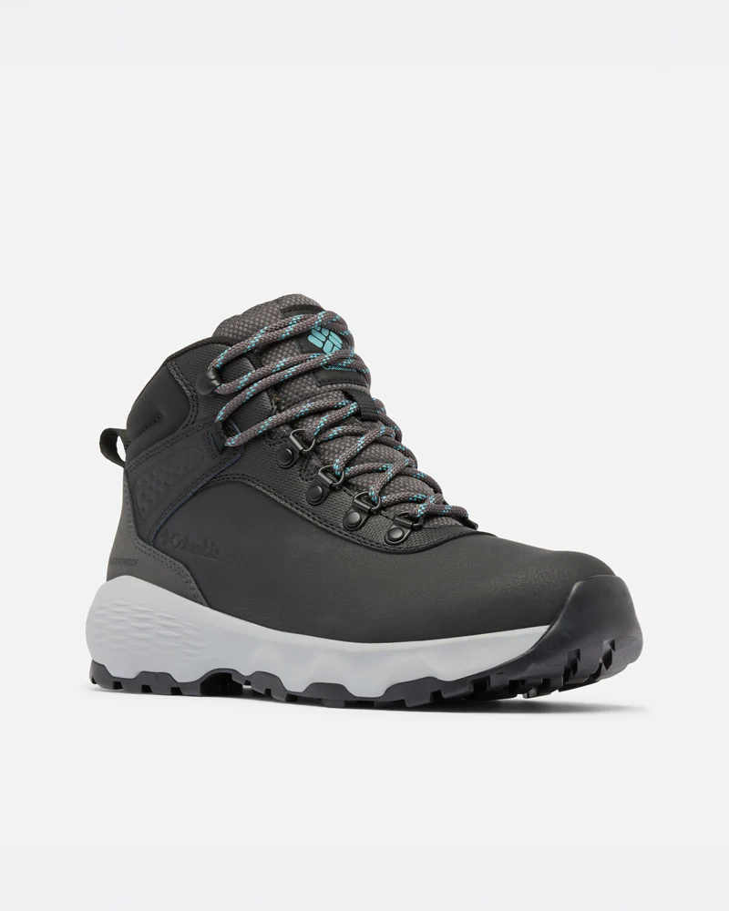Newton Wander LTR - Image 5