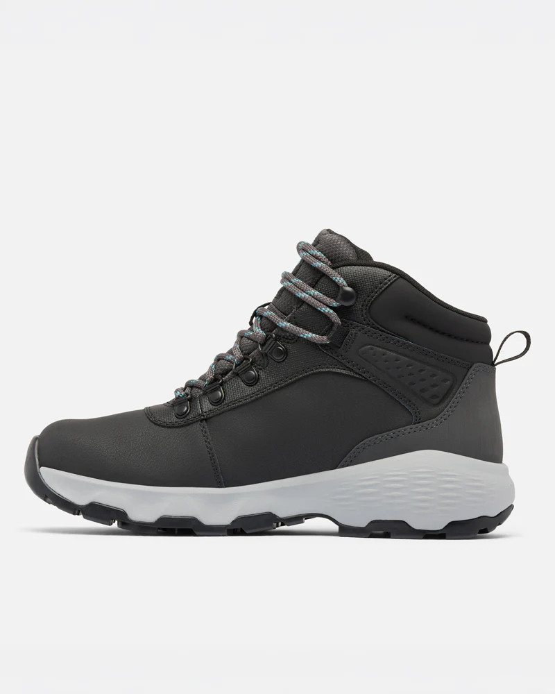 Newton Wander LTR - Image 6