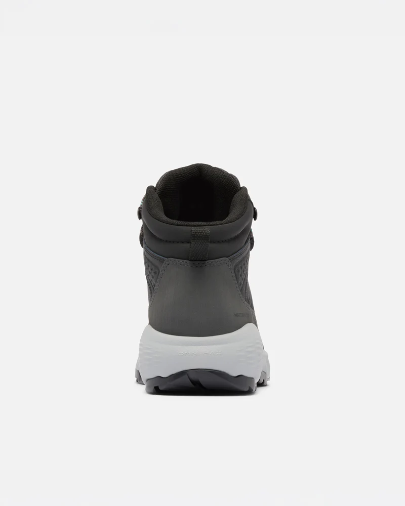 Newton Wander LTR - Image 8