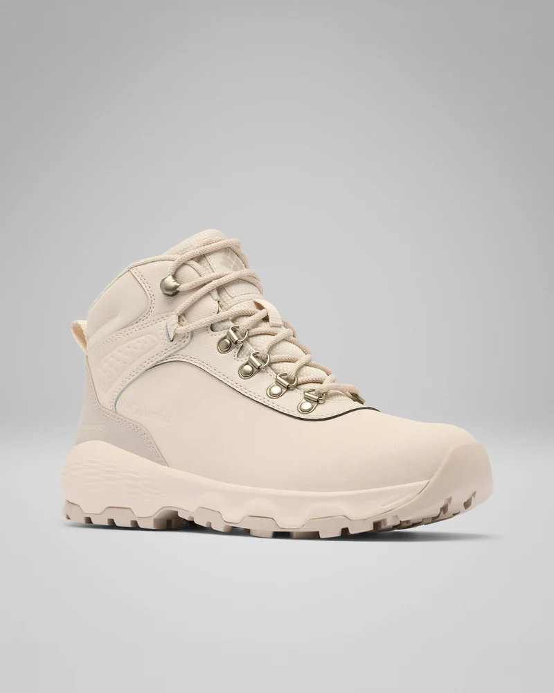 Newton Wander LTR - Image 4