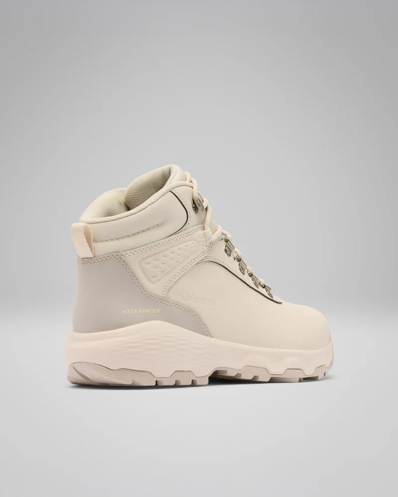 Newton Wander LTR - Image 6