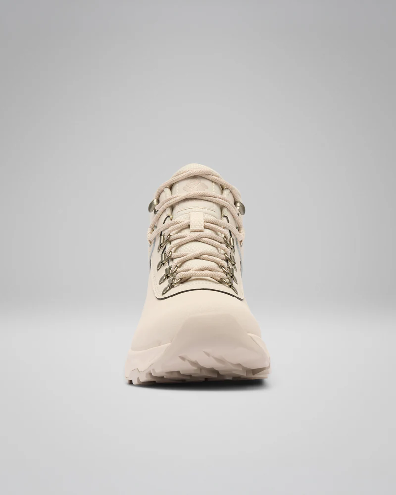 Newton Wander LTR - Image 9