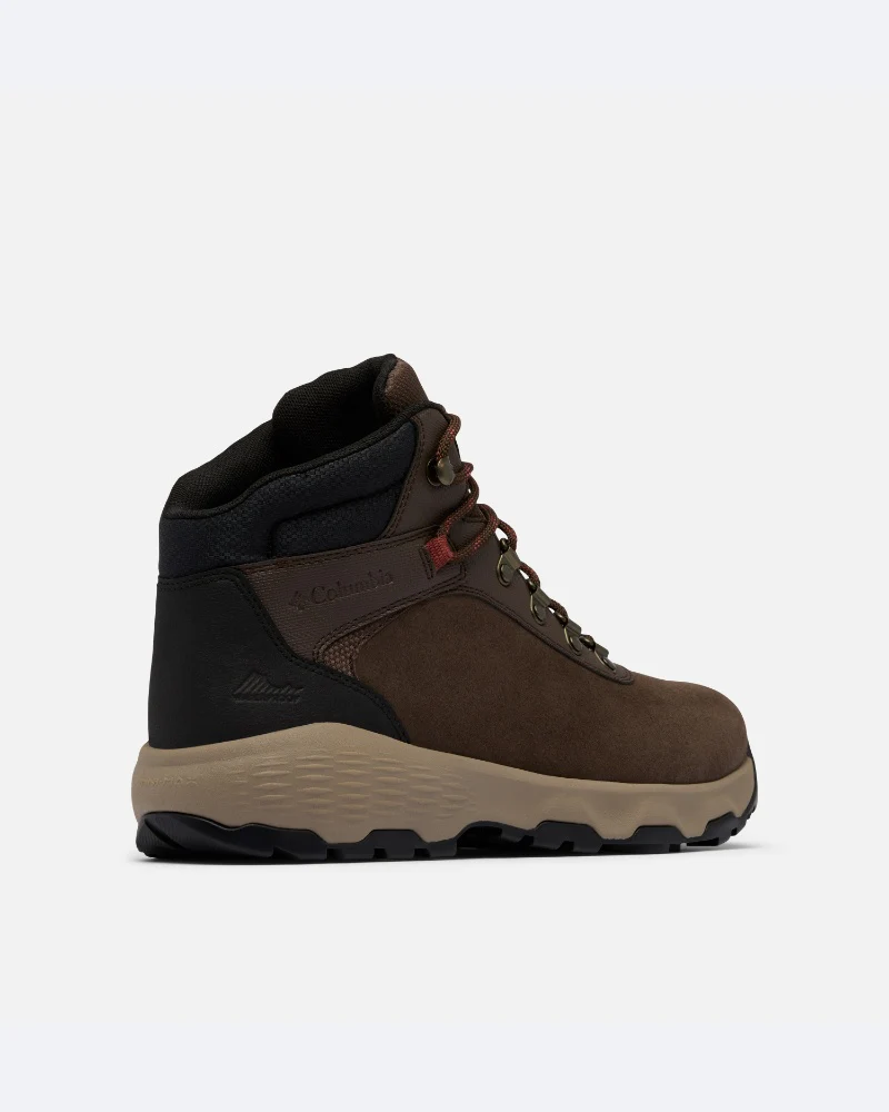 Newton Wander M - Image 5