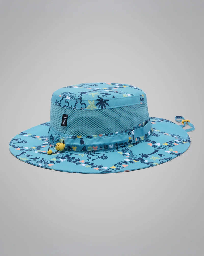 PFG Disney Booney - Image 2